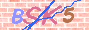 Image Anti-spam